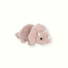 Sarah Triceratops Soft Toy - Poppy Rose - Poppy Rose Flowers Brisbane